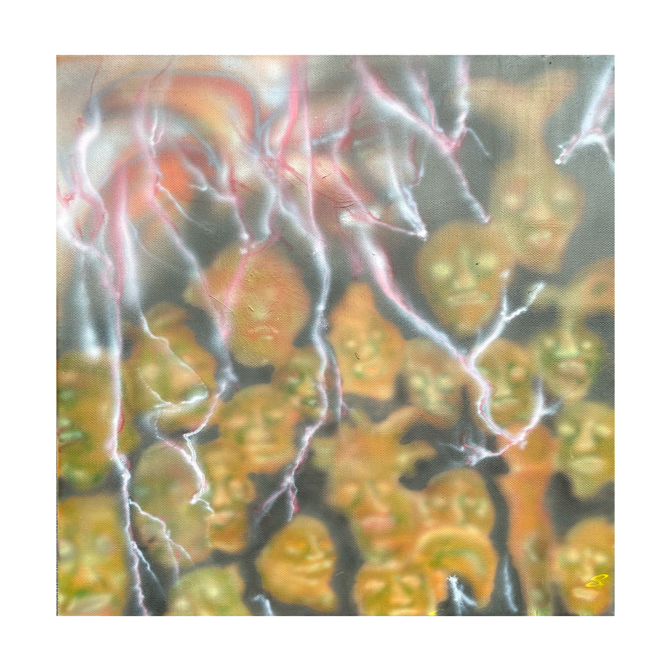 Visions 1